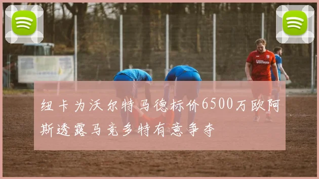 纽卡为沃尔特马德标价6500万欧阿斯透露马竞多特有意争夺