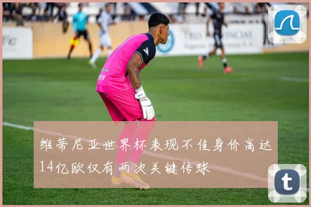 维蒂尼亚世界杯表现不佳身价高达14亿欧仅有两次关键传球