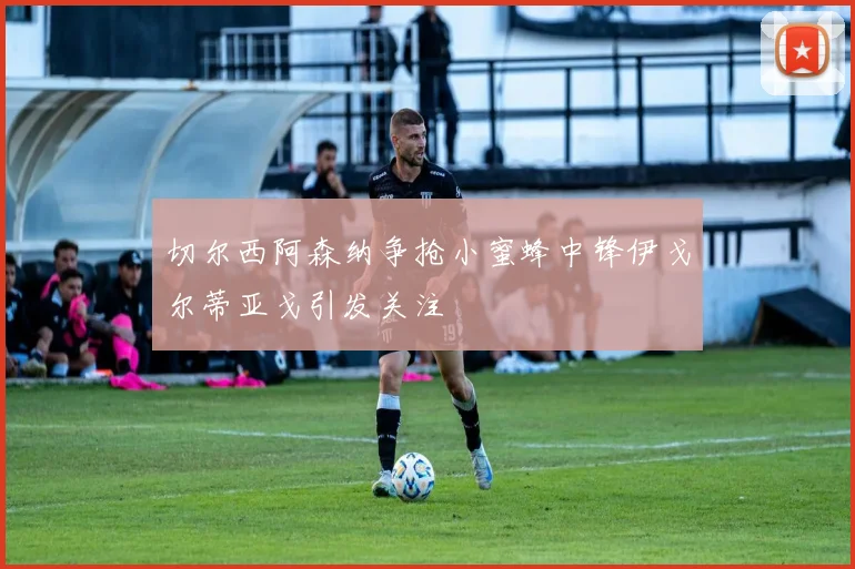 切尔西阿森纳争抢小蜜蜂中锋伊戈尔蒂亚戈引发关注